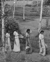 Women walking in a line through countryside.