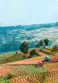 anggit-rizkianto-RDGChrTxiwc-unsplash