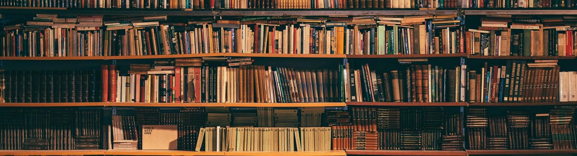Bookshelf_newsletter_v2