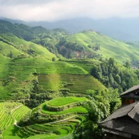 China and the World Feb 24