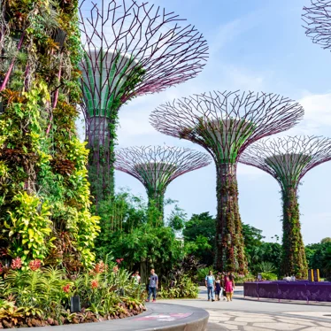 Singapore Gardens by the Bay.