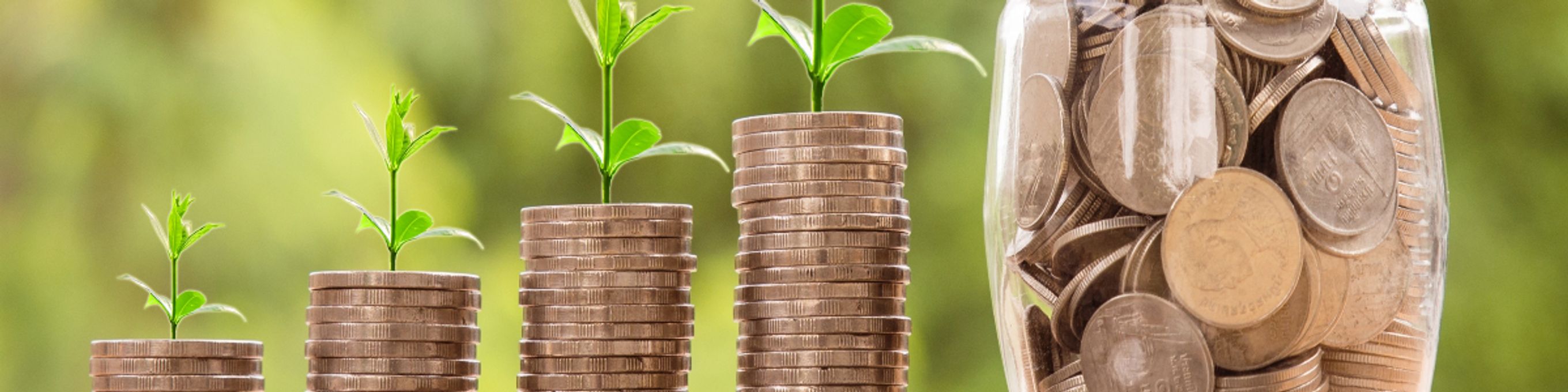 Coins with green shoots coming out the top of them