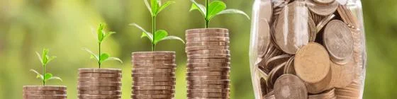 Coins with green shoots coming out the top of them