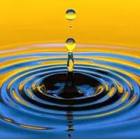 Educate for Impact 300 x 300