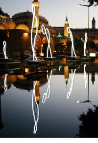 ForcedDisplacementPortrait-500-707