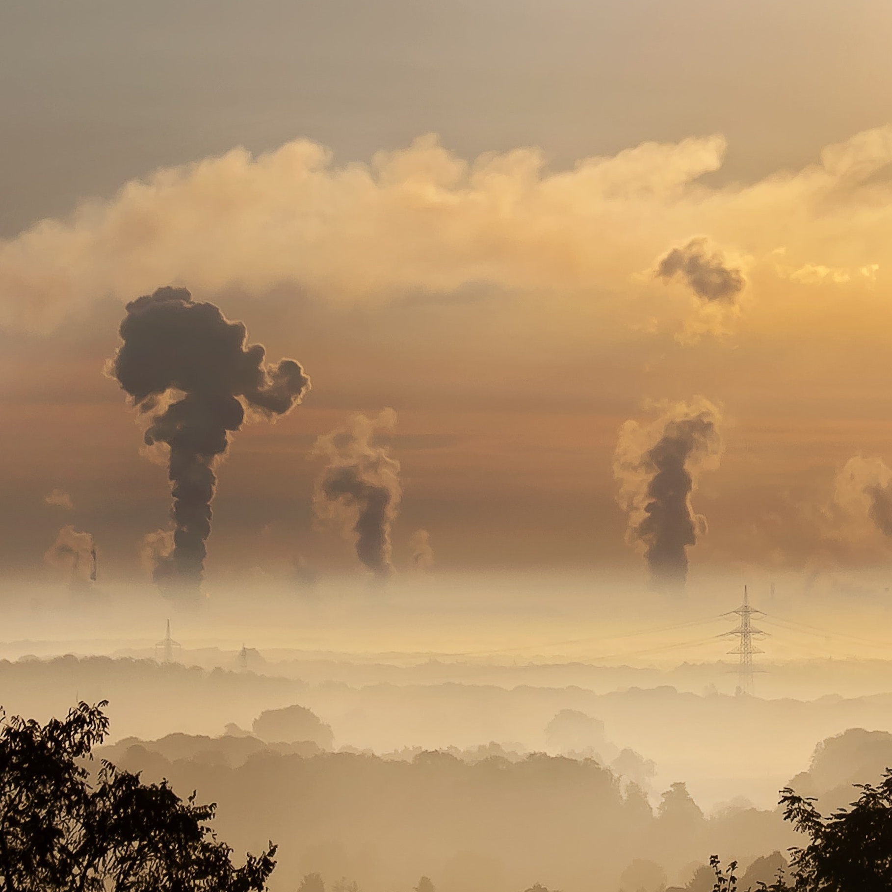 fourth-env-workshop Cropped