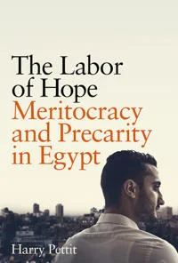 harry pettit labour of hope 500x733