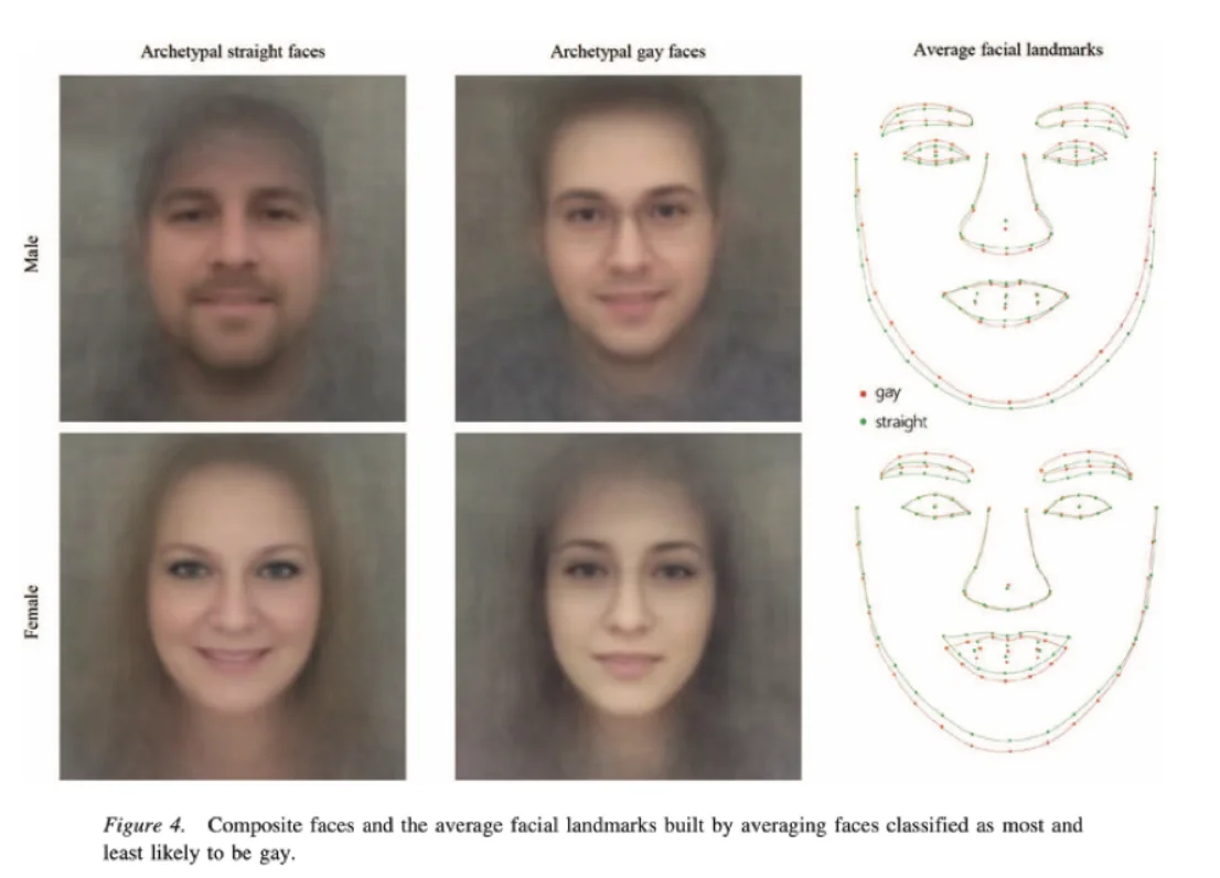 They found, based on their algorithm, that gay men tend to have more feminine facial structures compared to heterosexual men, with lesbian women having more masculine features (see Figure 4).