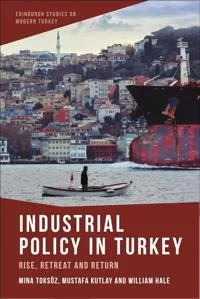 industrialpolicyinturkey500x733