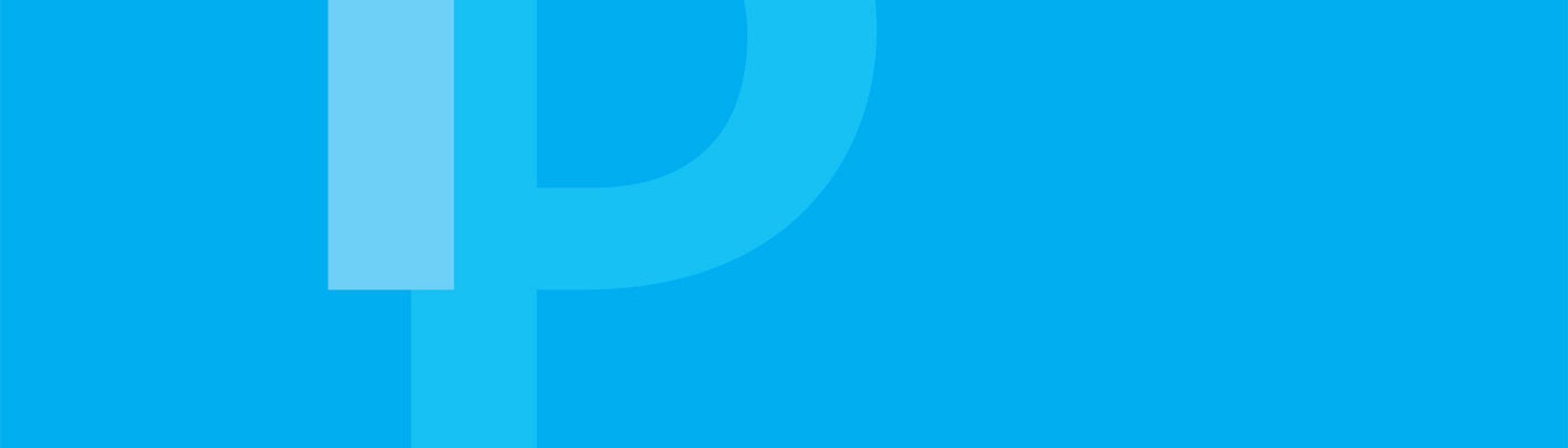 International Politics journal