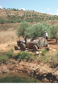 JordanBasinPortrait-500-707