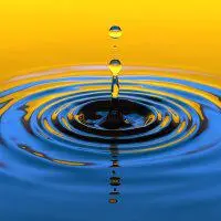 PhD Atrium exhibition 2020