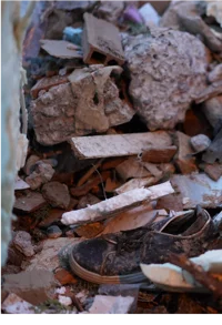 politics-turkey-syria-earthquake-500-733