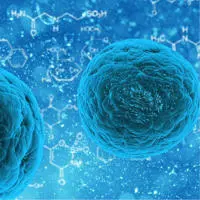 Quarantine 130 x 130