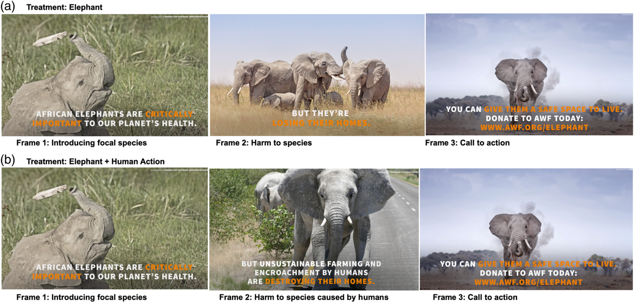 Images of elephants