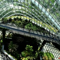 Greenhouse