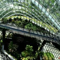 Greenhouse