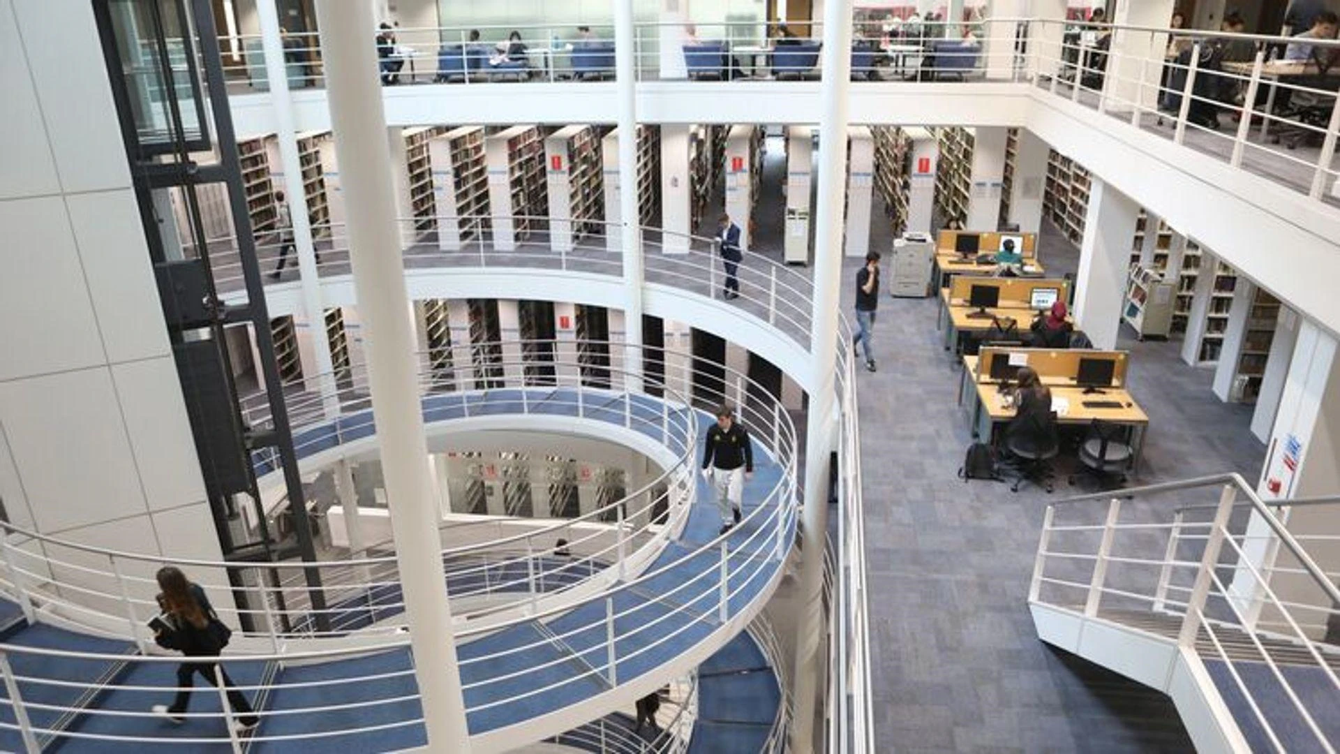 Lse Reference Programme - LSE