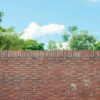 The revolution next door