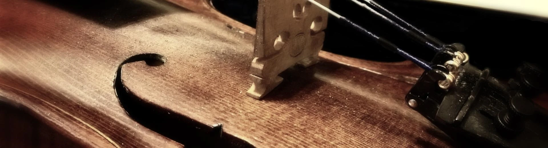 Violin