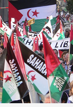 Western-Sahara-Protest