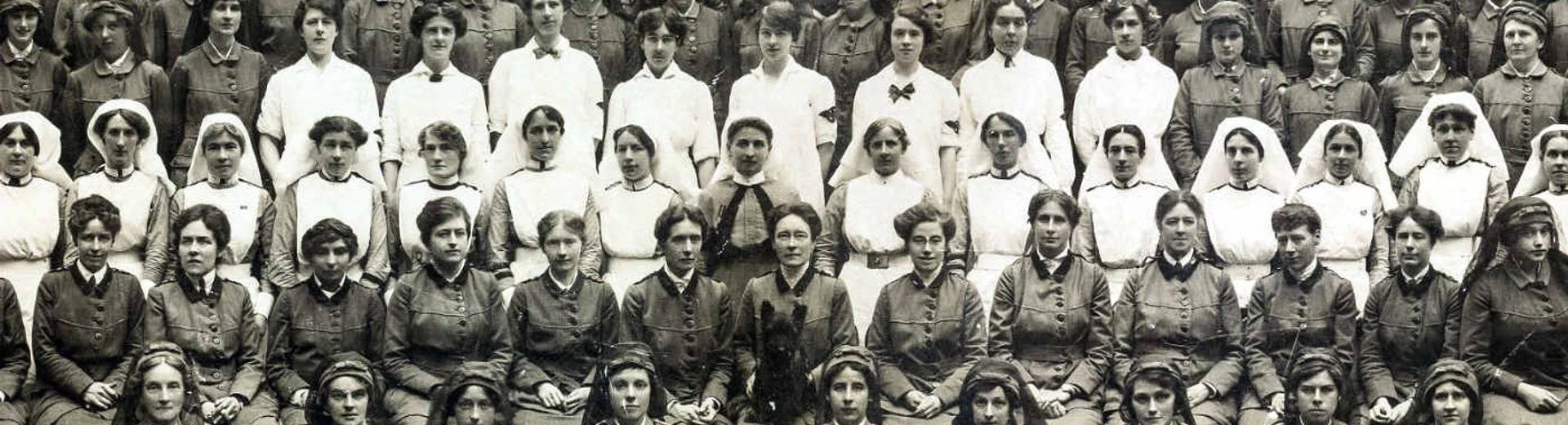 A large group of women all lined up at different levels ready for a big group photograph.