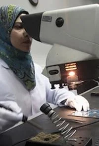 WomenAndWorkEgypt500x733