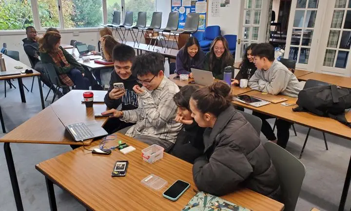 Students in small groups looking at laptops.