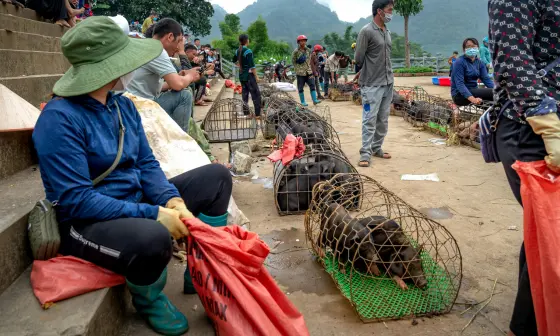 farmers sit on steps with animals in cages in front of them