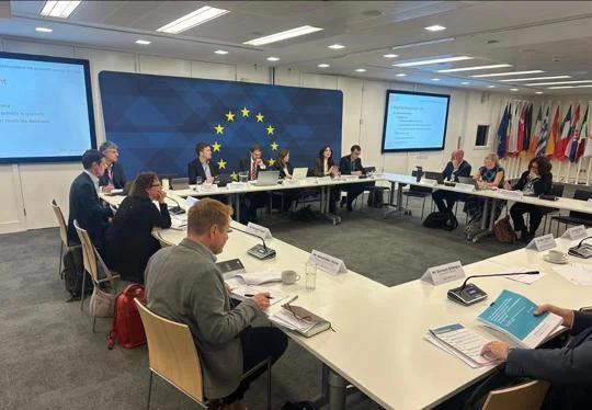 group of people sitting around a square round table, with the EU flag against one wall