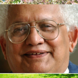 Lord Meghnad Desai