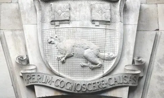 A stone artwork of the LSE beaver mascot on a wall.