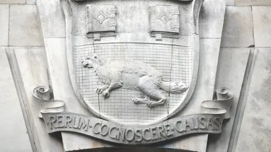 A stone artwork of the LSE beaver mascot on a wall.