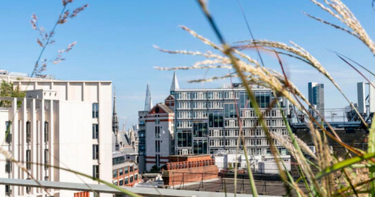 Home | The Global School of Sustainability at LSE - LSE