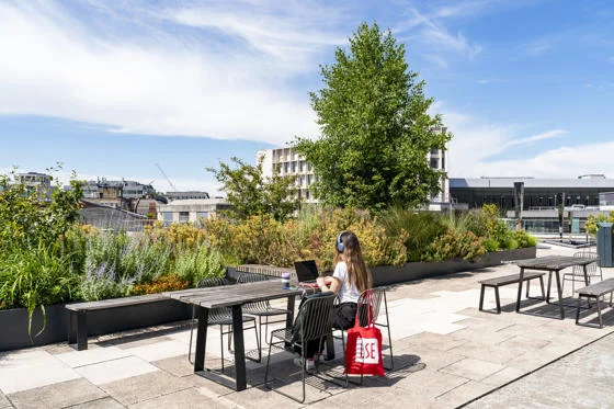 A student working on LSE rooftop with an LSE totebag