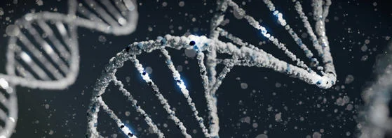 Abstract visualisation of DNA