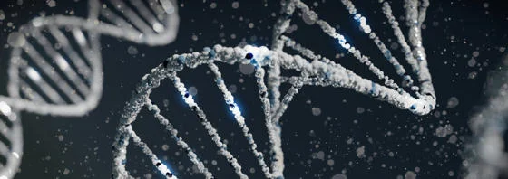 Abstract visualisation of DNA