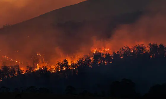 Forest fire.