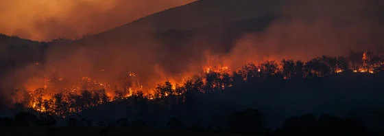 Forest fire.