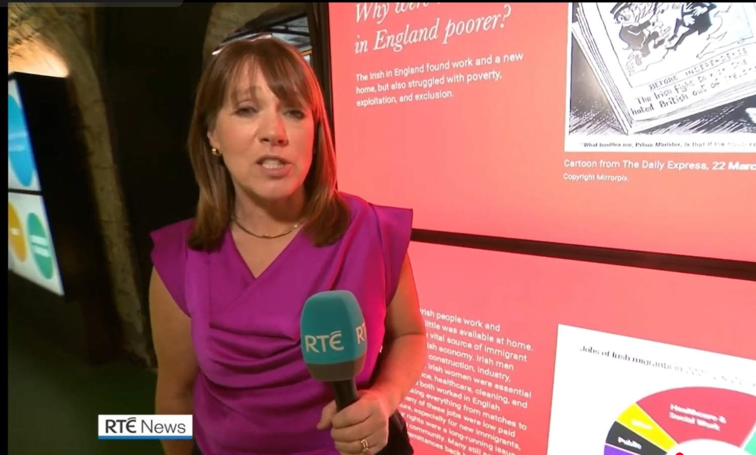 No Irish Need Apply RTE screenshot