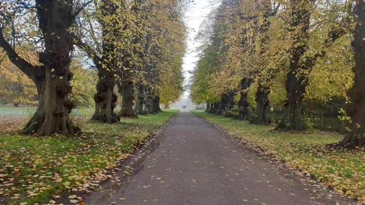 Scenic park near the Cumberland Lodge