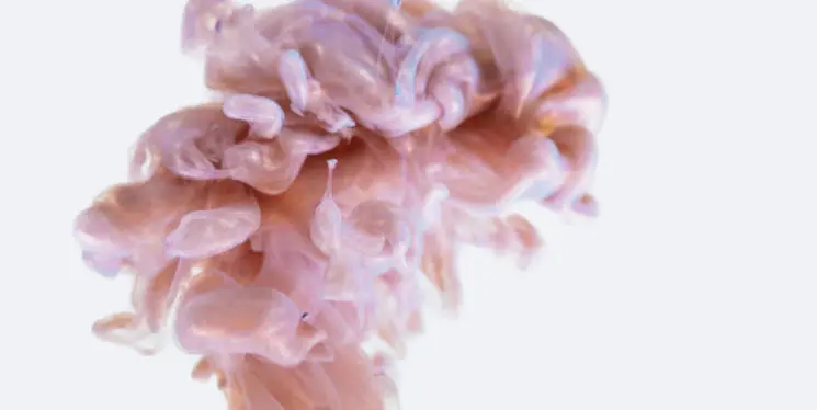 Abstract pink and white ink cloud suspended in water, creating a soft, flowing pattern