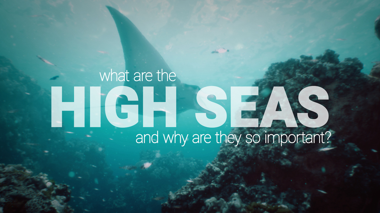 The High Seas Treaty: the agreement on biodiversity beyond national jurisdiction