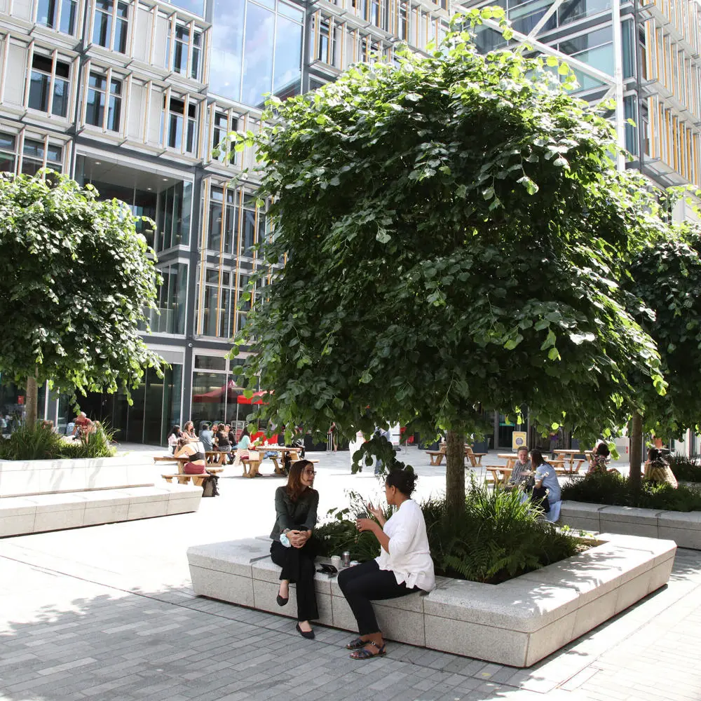 LSE Square