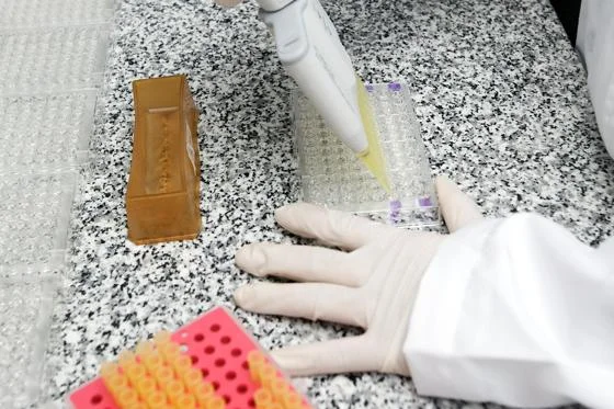 Scientist looking at malaria treatments