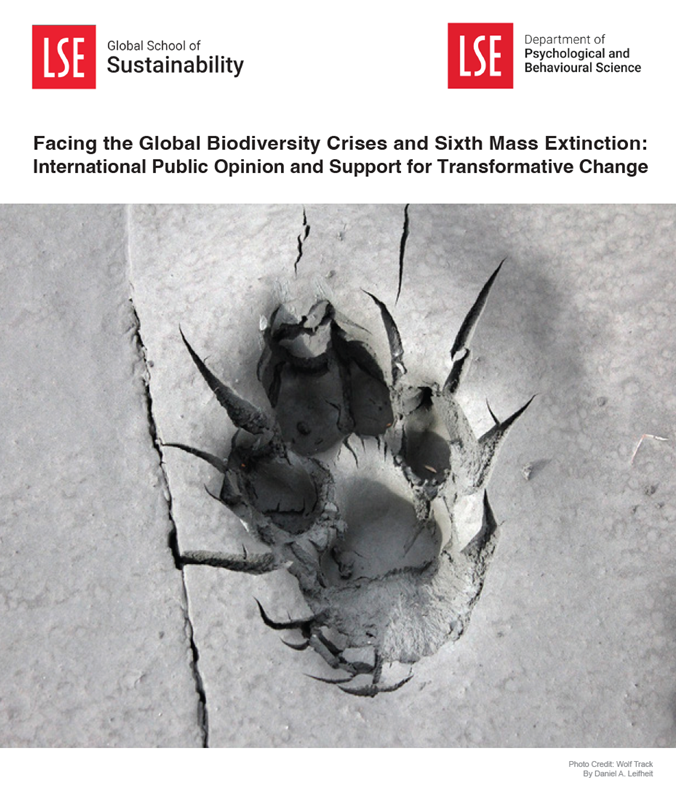 Mass Extinction research report cover