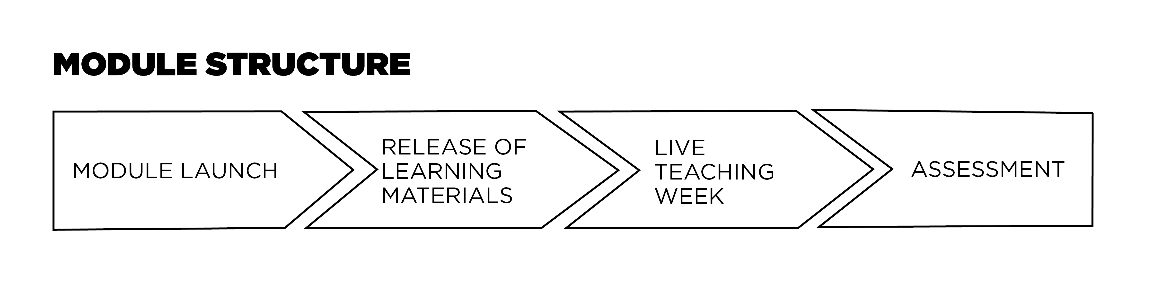 graphic showing the progression and strcuture of a module on the Executive MSc in Cities