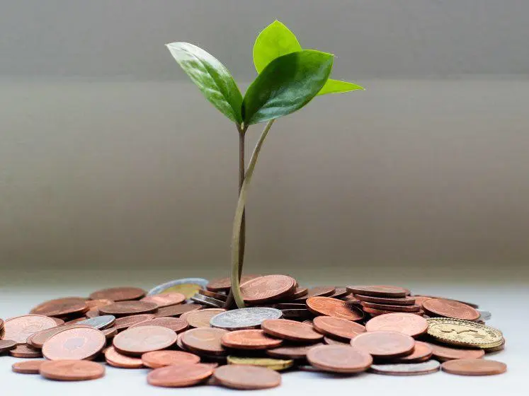 investment micheile dot com unsplash 747x560