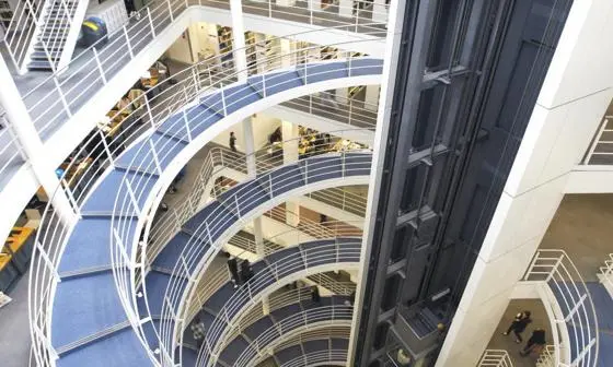 Professor Martin Knapp, CBE - LSE