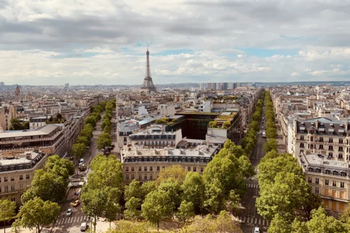 Paris skyline with trees lining the main roads
